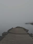 Port Stephany