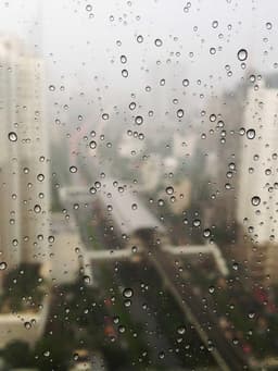 https://picsum.photos/id/178/800/1067