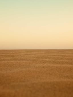 https://picsum.photos/id/185/800/1067