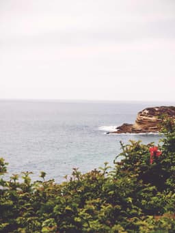 Schmelermouth
