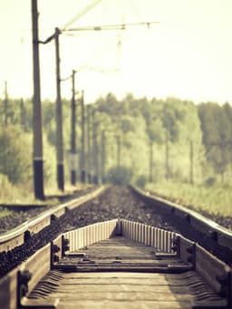 https://picsum.photos/id/69/800/1067