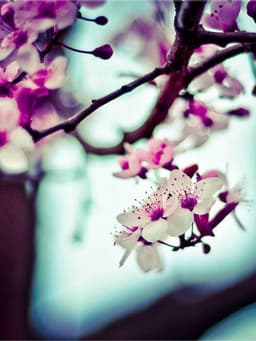 https://picsum.photos/id/82/800/1067